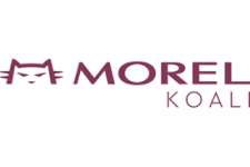 logo morel koali